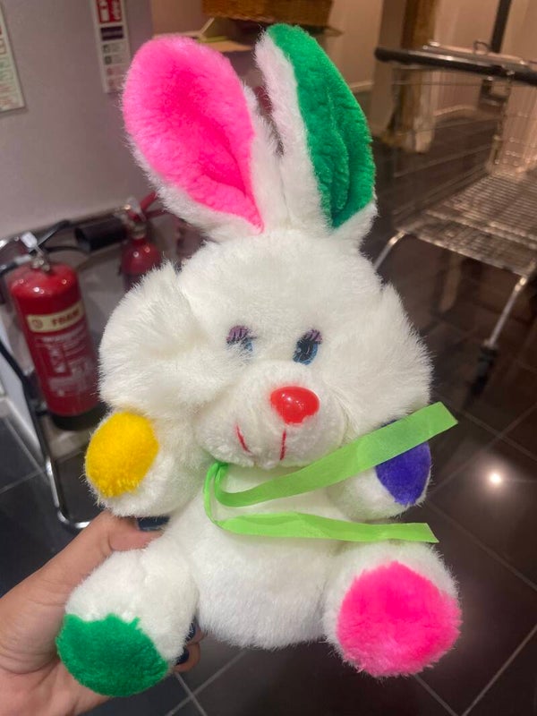 Rabbit Soft Toys-Toys*