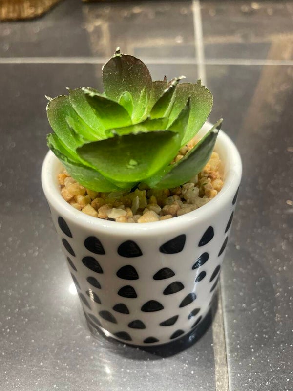 Artificial Plant With Pot-Decor***