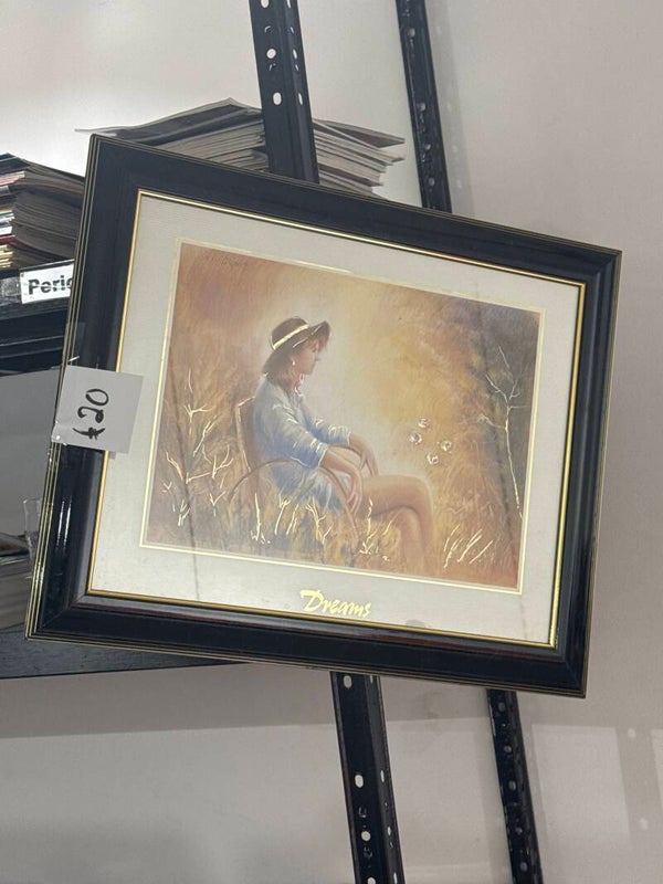 Dream Painting - Frames*