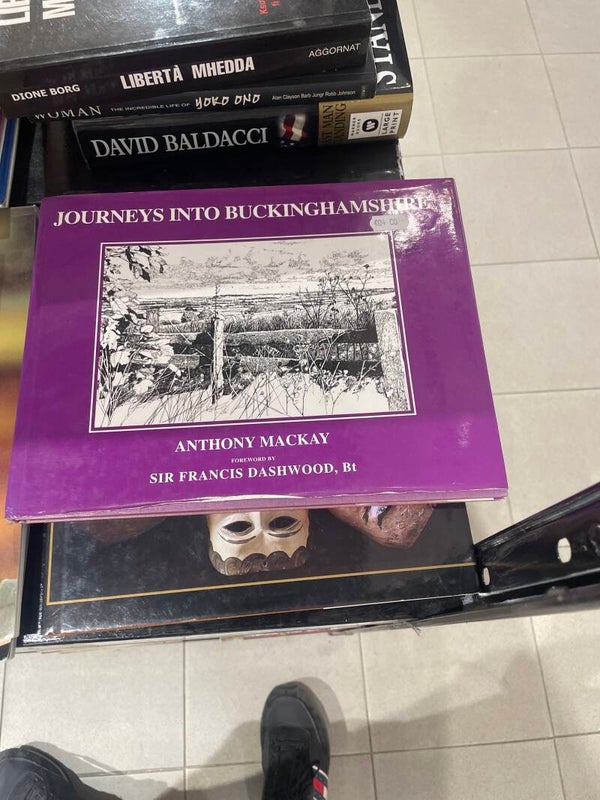 Journey into buckinghamshire - books*