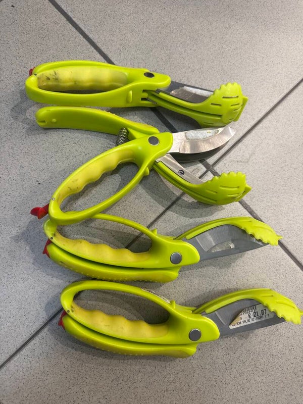 Kitchen salad scissors- Supplies ***