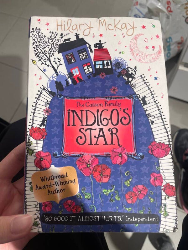 Hilary McKay Indigos Star - Books