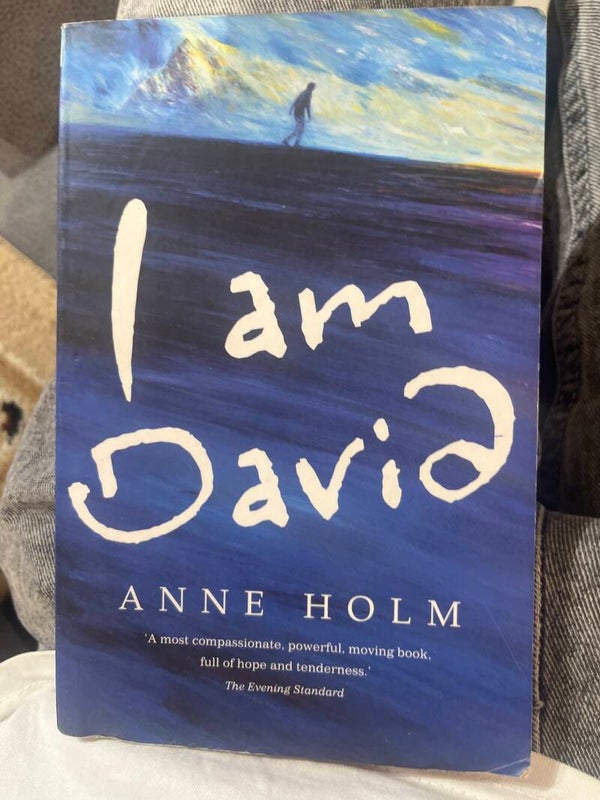 I am David- books*
