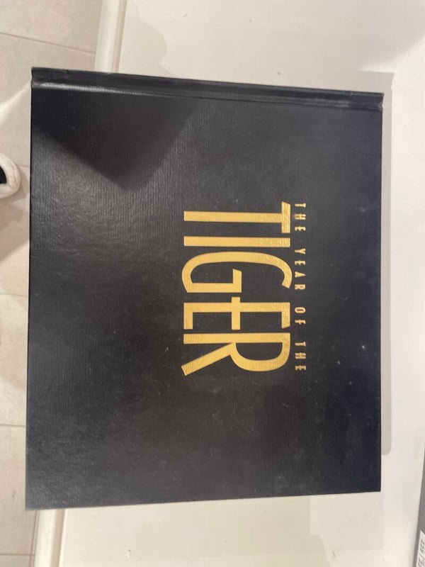 The Year of The Tiger - Books