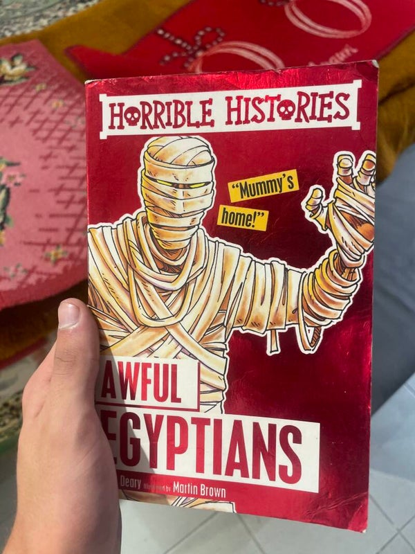 Horrible Histories Awful Egyptians - Books