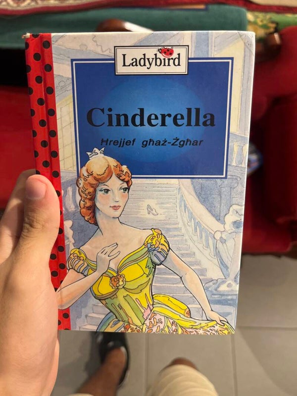 Lady Bird Cinderella - Books*