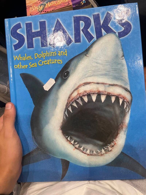 Sharks, Whales, Dolphins & Other Sea Creatures - Books
