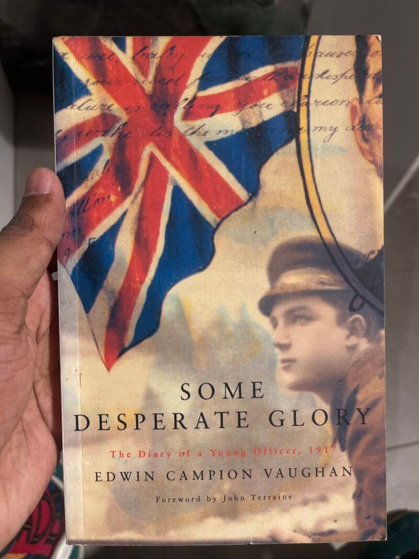 Some Desperate Glory - Books