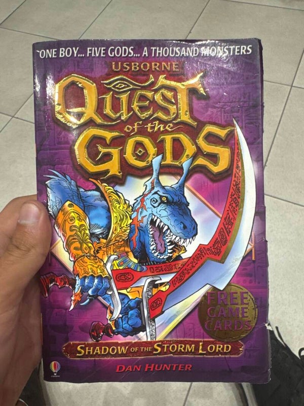 Usborne Quest Of the Gods - books*