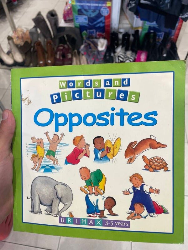 Words and Pictures Opposites - Books*