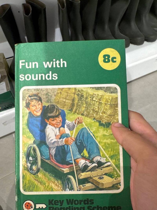 Fun With Sounds Ladybird - Books