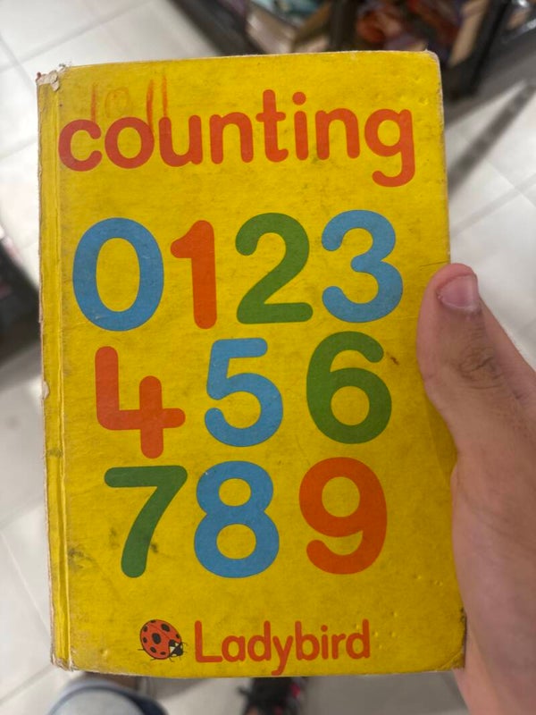 Counting Ladybird - Books