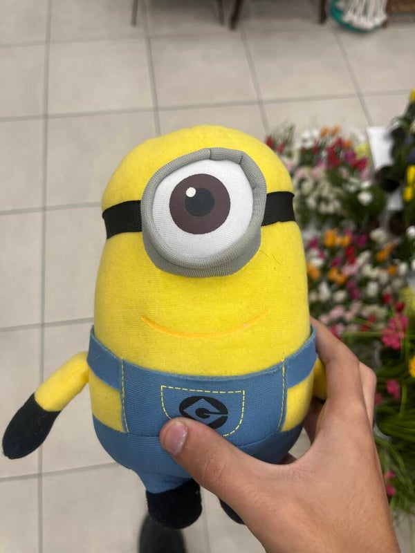 Minion Plush - Toys