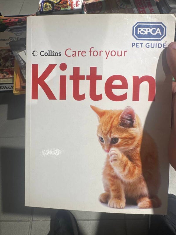 Collins Care for your Kitten - Books*