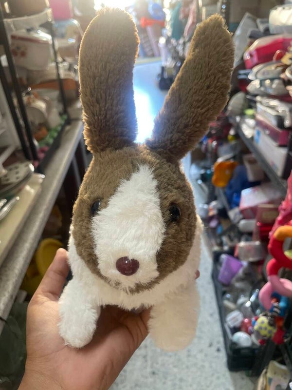 Rabbit Plush - Toys