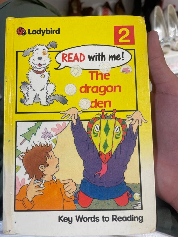 The Dragon Den Ladybird - Books