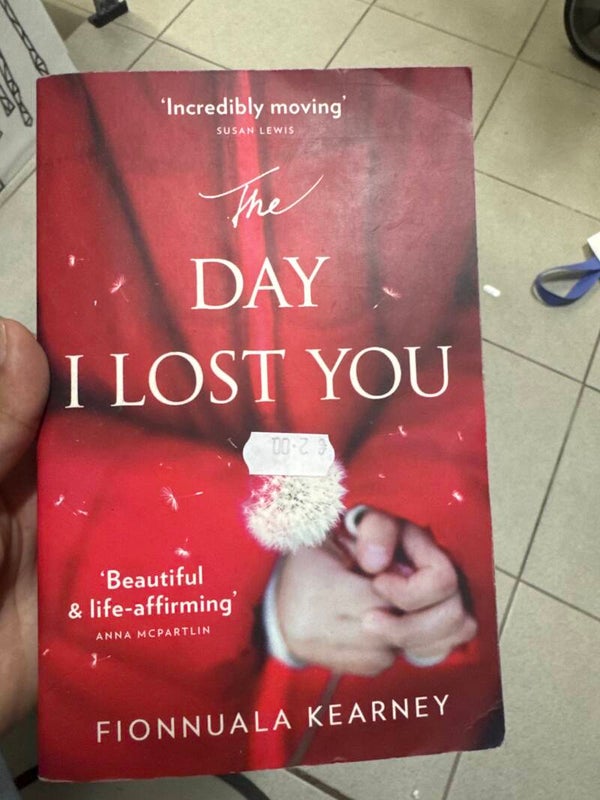 The Day I Lost You-Books*