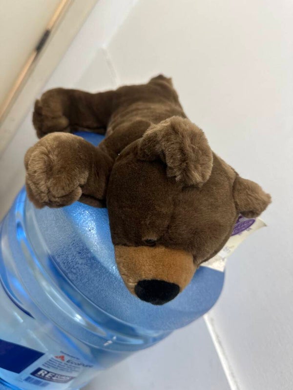 Cuddles time dog- Toys***