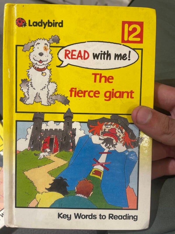 The Fierce Giant - Ladybird - Books