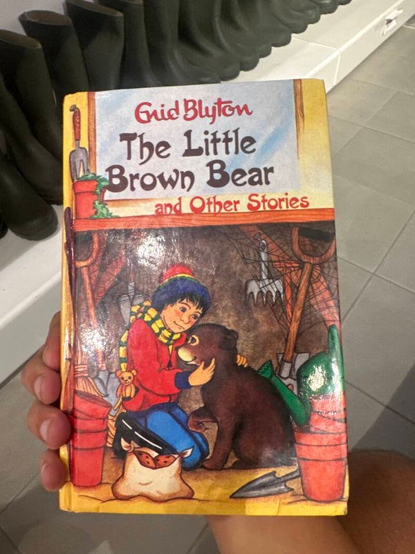 The Little Brown Bear - books*