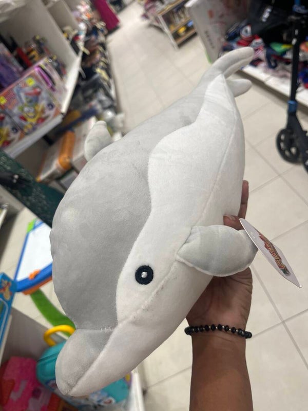 Dolphin soft Toy-Toy*