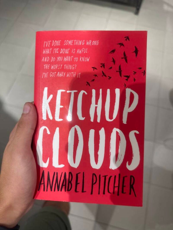 Ketchup Clouds - Books