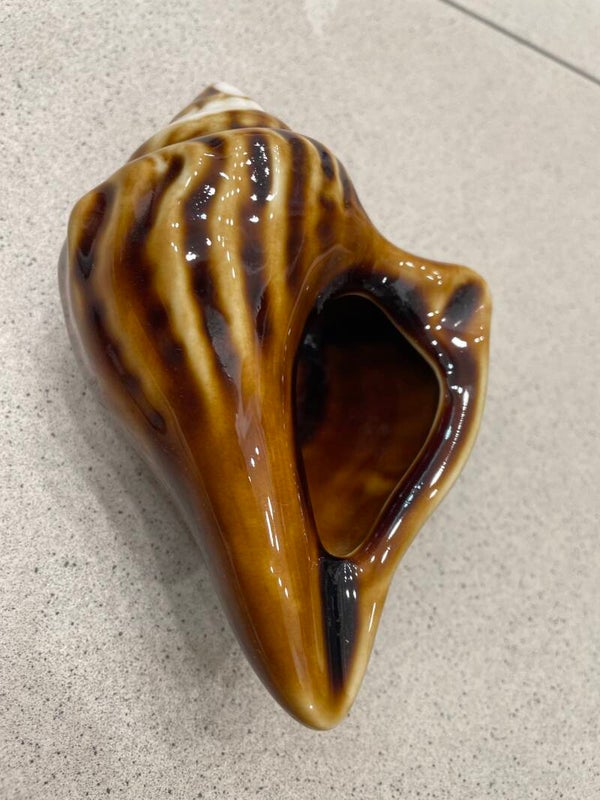 glazed ceramic seashell-decor***