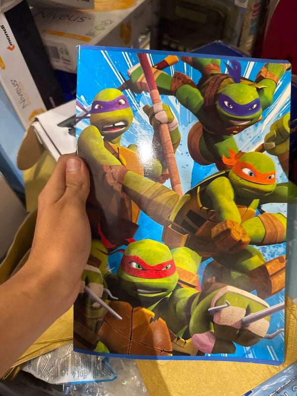 Ninja Turtles Diary - Stationary*