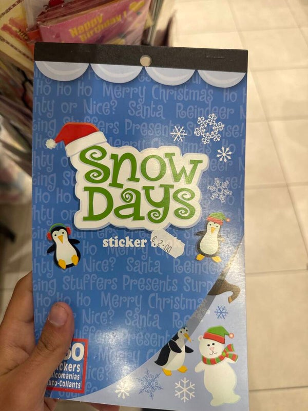 Snow days sticker sheet - Stationary*