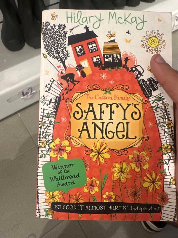 Saffy’s Angel - Books*