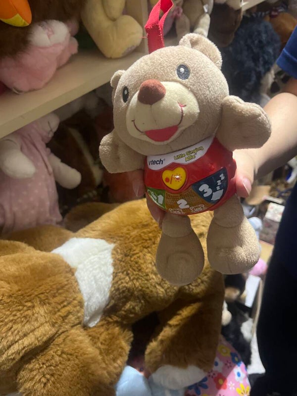 BEAR SOFT & HARD TOY~TOYS~***