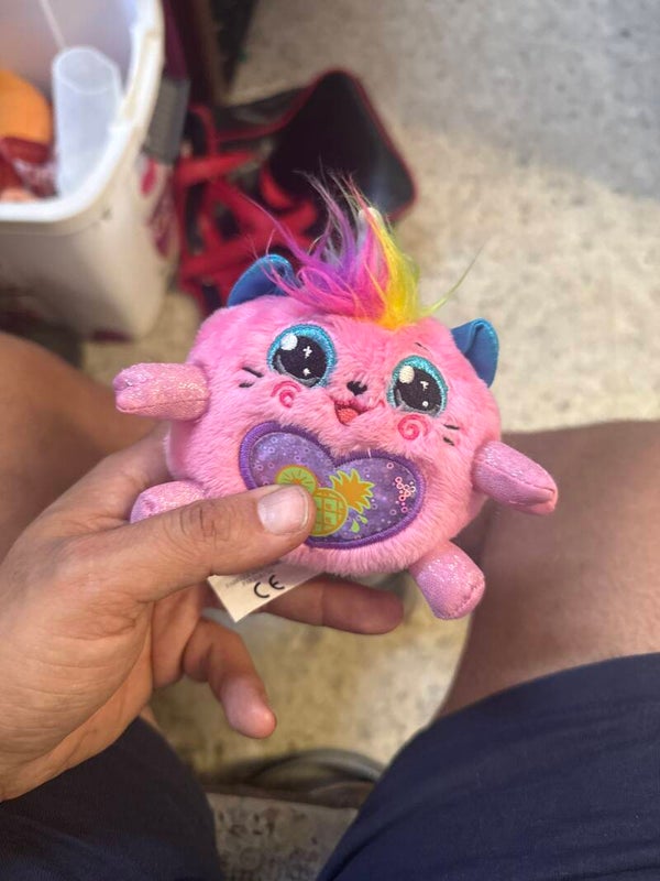 Rainbocorns Fairycorn Surprise Plush - Toys