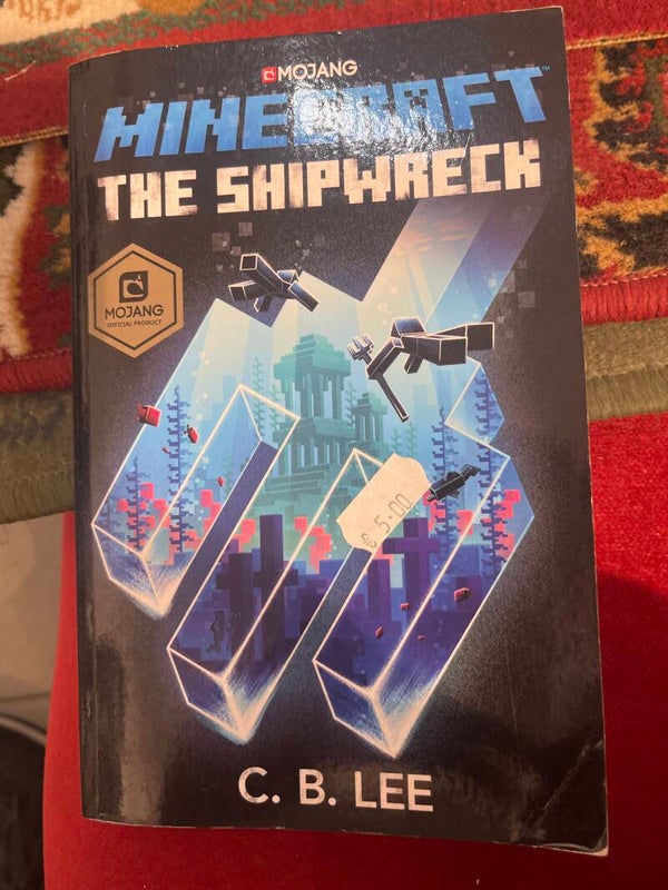 Minecraft shipwreck - Books*