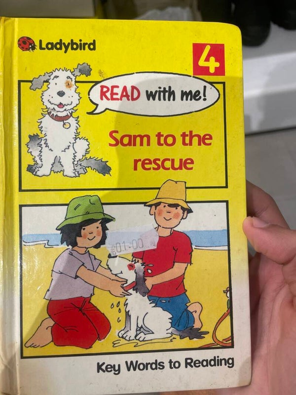 Sam to the rescue - books*