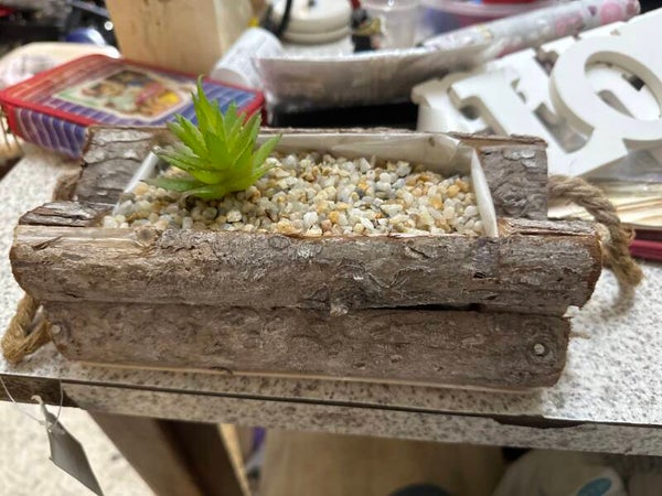 Artificial Plant - Decor