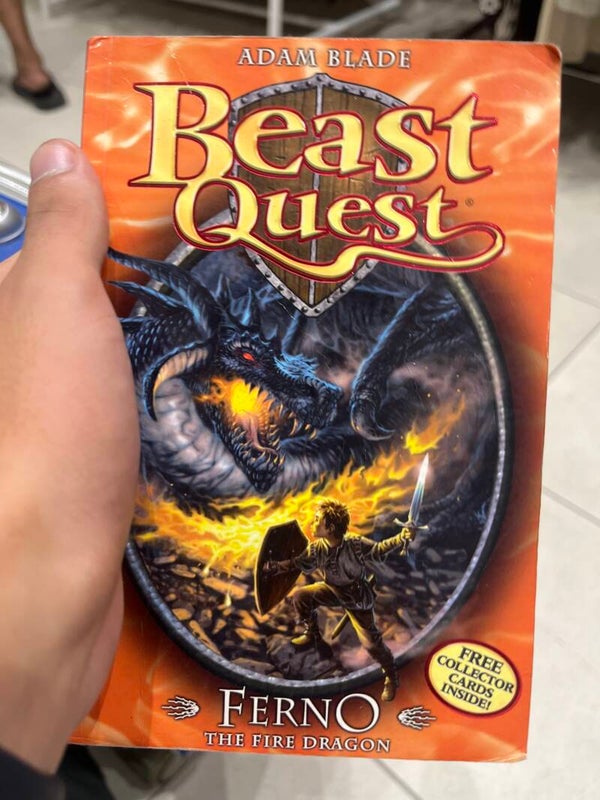 Beast Quest Ferno the Fire Dragon - Books*