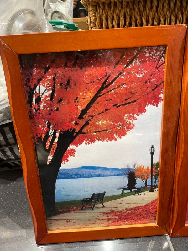 Picture Frame-Decor***