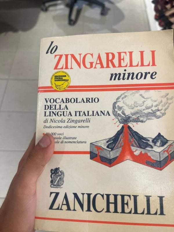Lo Zingarelli minore - Books*