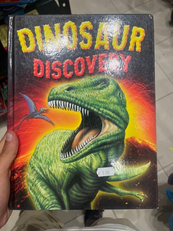 Dinosaur Discovery - Books*