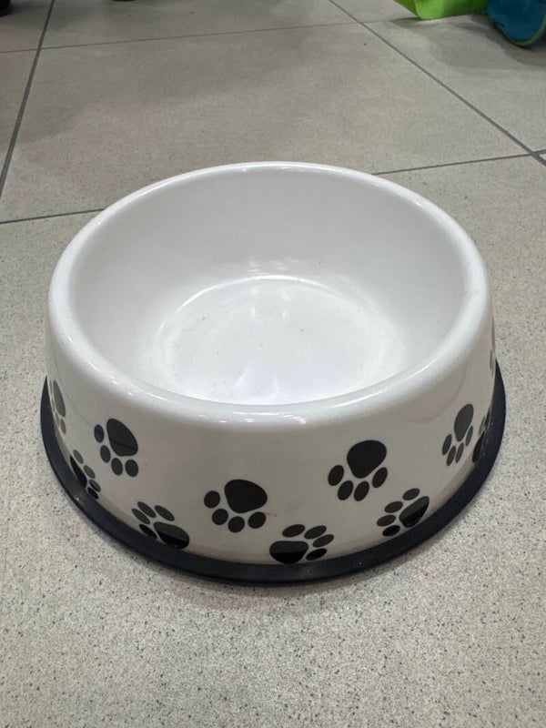Feeding Pets Bowl- Pets***