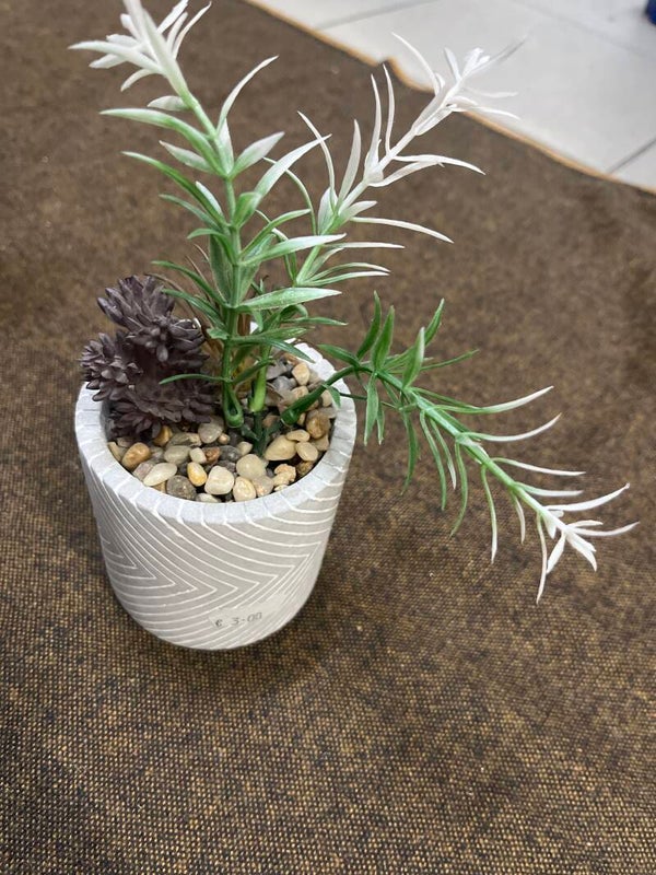 Artificial plants-  Decor ***
