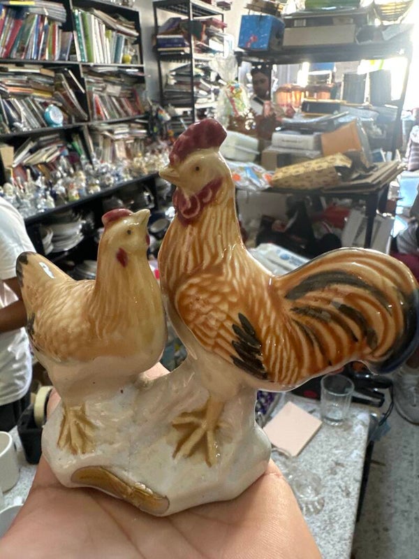 Roster or hen*