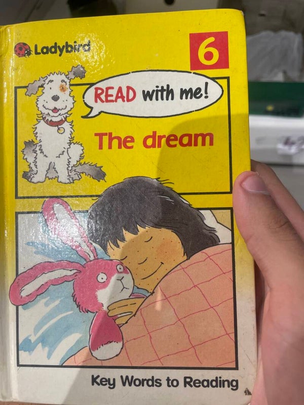 The dream - books*