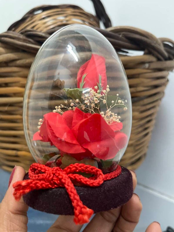 Red rose in a clear glass dome- Decor***
