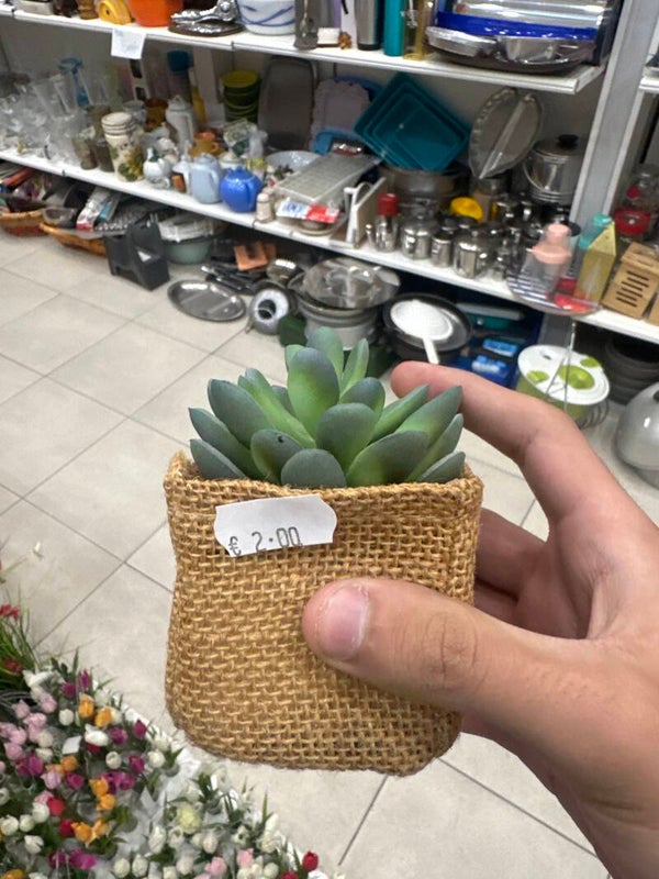 Artificial Mini Succulent Plant - Decor