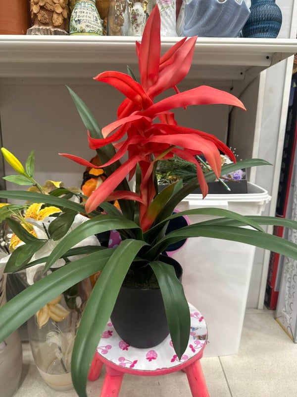 Artificial Plants-Decor***
