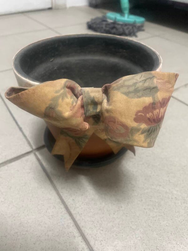 Terracotta Pot - Supplies