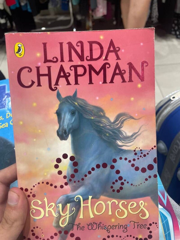 Sky Horse - Books