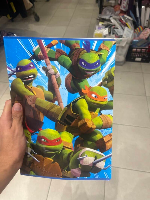 Ninja Turtles Diary  - stationary*