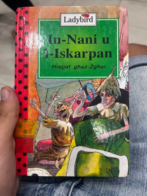 In-Nani u L-Iskarpan Ladybird - Books